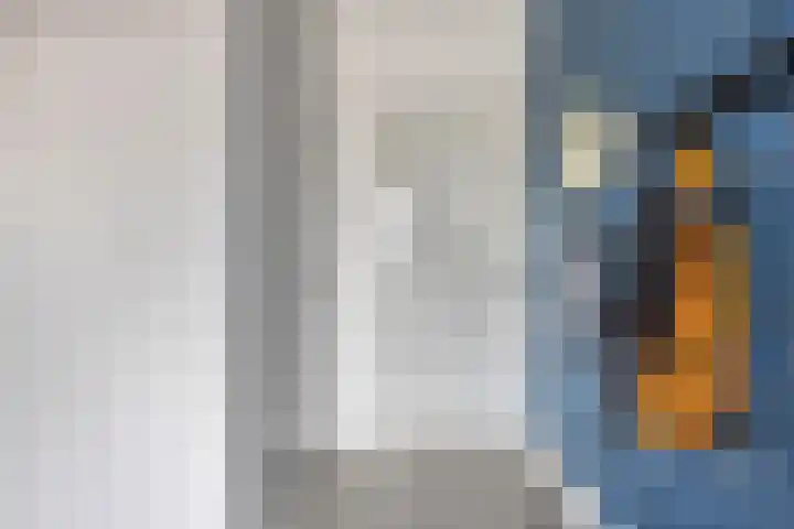 Kleine Beemd 75 Boxtel thumbnail 8