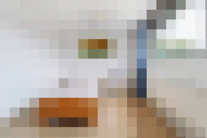 Kleine Beemd 91 Boxtel thumbnail 17
