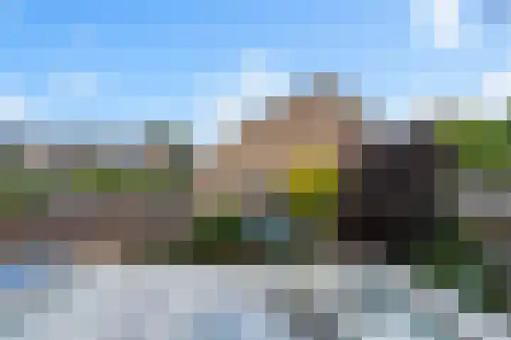Kleine Beemd 91 Boxtel thumbnail 28