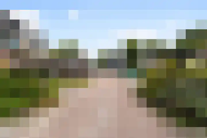 Kleine Beemd 91 Boxtel thumbnail 47