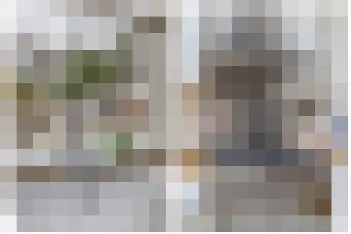 Kleine Beer 10 Lisse thumbnail 12