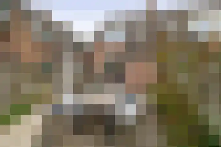 Kleine Beer 10 Lisse thumbnail 15