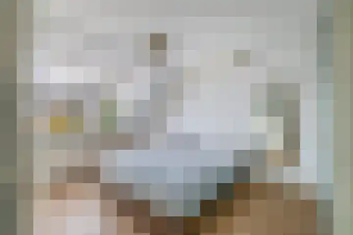 Kleine Beer 10 Lisse thumbnail 21