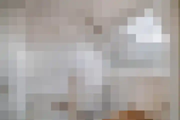Kleine Beer 10 Lisse thumbnail 26
