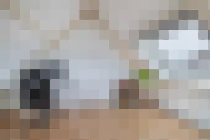 Kleine Beer 10 Lisse thumbnail 27