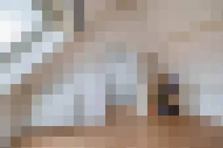 Kleine Beer 10 Lisse thumbnail 28