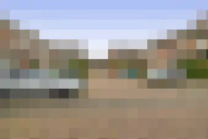 Kleine Beer 10 Lisse thumbnail 30
