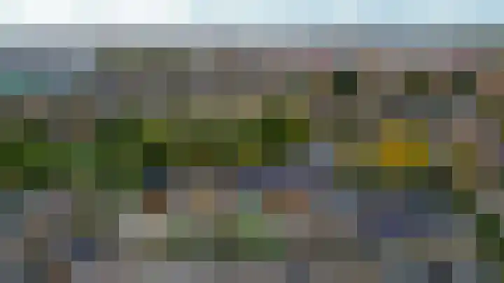 Kleine Beer 10 Lisse thumbnail 31