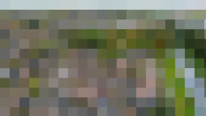 Kleine Beer 10 Lisse thumbnail 32
