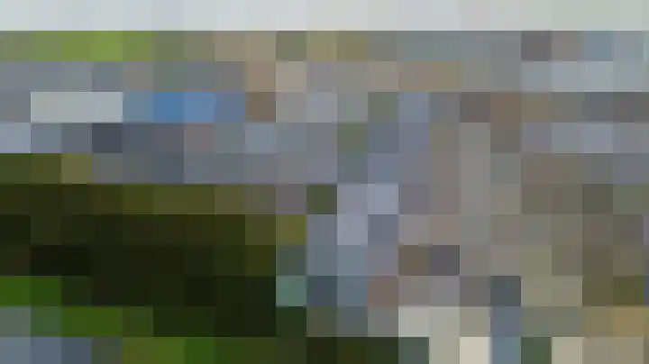 Kleine Beer 10 Lisse thumbnail 33