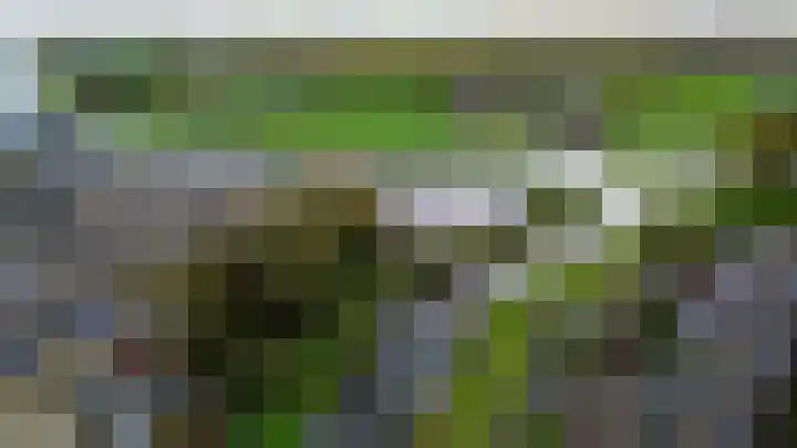 Kleine Beer 10 Lisse thumbnail 34