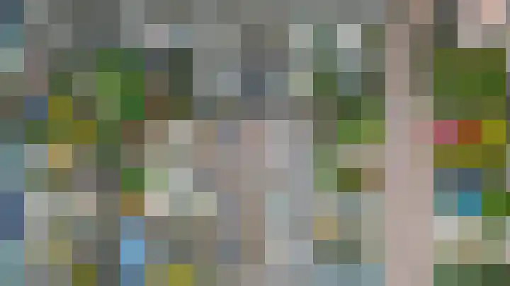Kleine Beer 10 Lisse thumbnail 35