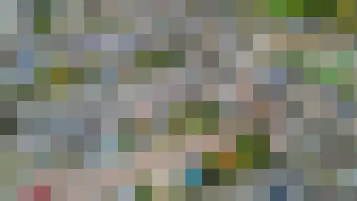 Kleine Beer 10 Lisse thumbnail 36