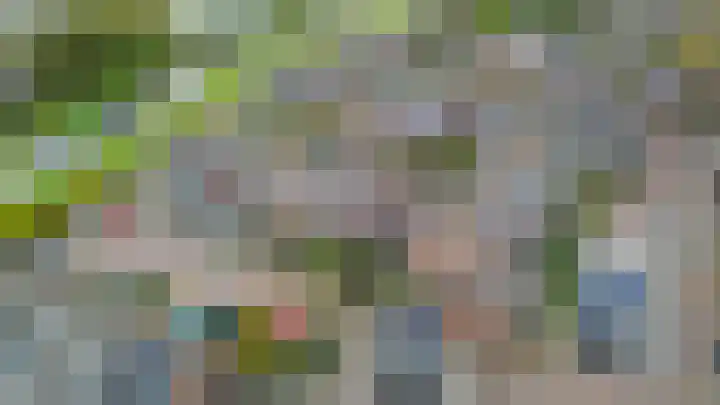 Kleine Beer 10 Lisse thumbnail 37