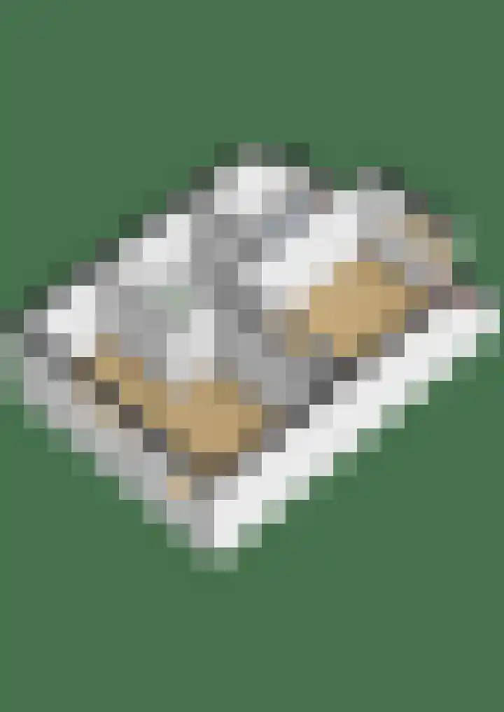 Kleine Beer 10 Lisse thumbnail 41