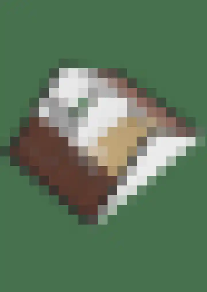 Kleine Beer 10 Lisse thumbnail 43