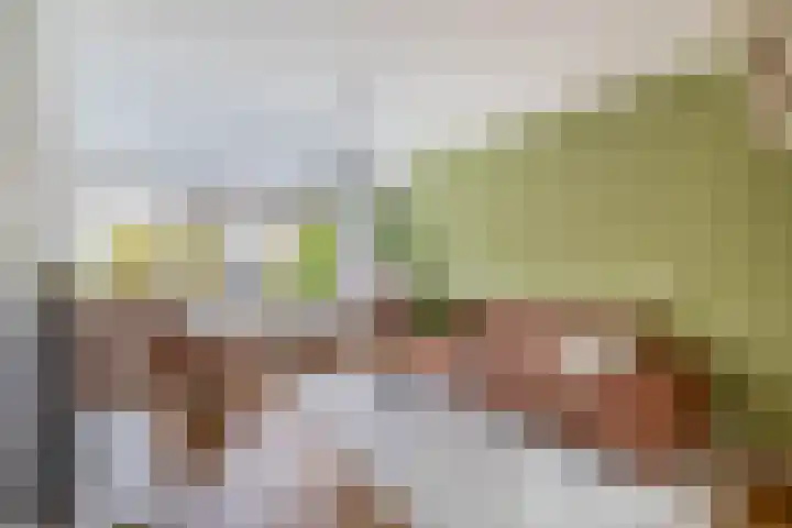 Kleine Beer 10 Lisse thumbnail 5