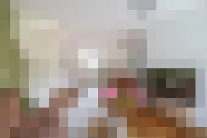 Kleine Beer 10 Lisse thumbnail 7