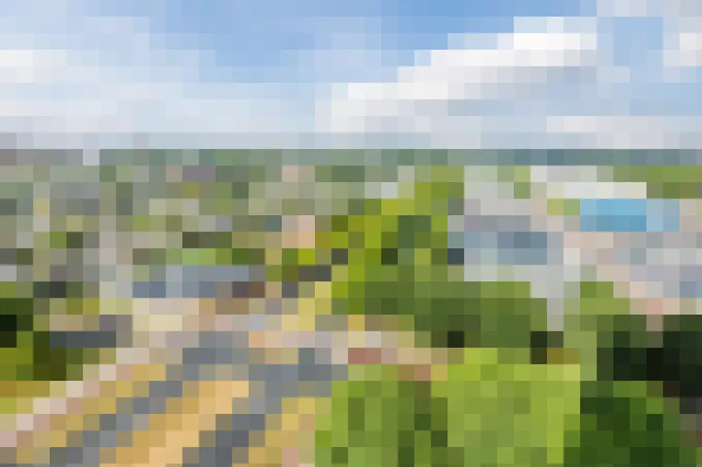 Kleine Beer 116 C Rotterdam thumbnail 50