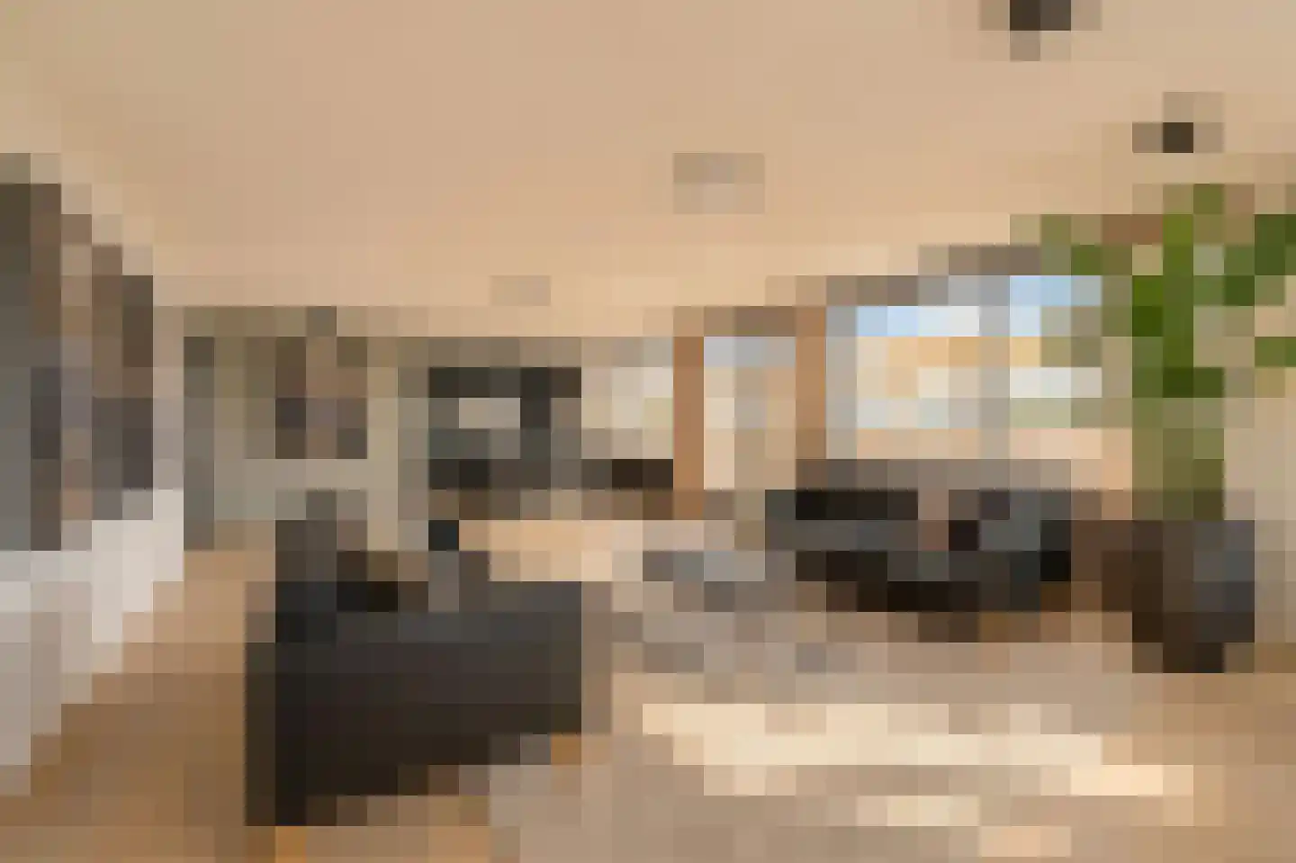 Kleine Beer 164 Rotterdam thumbnail 4