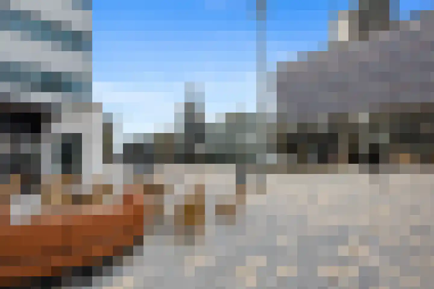 Kleine Beer 164 Rotterdam thumbnail 8