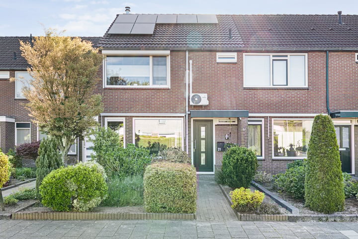 Kleine Beer 21 in Hoogeveen photo