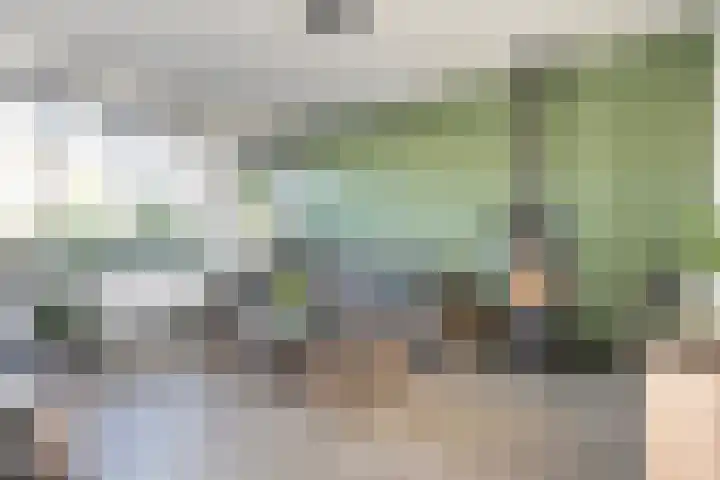 Kleine Beer 21 Hoogeveen thumbnail 10