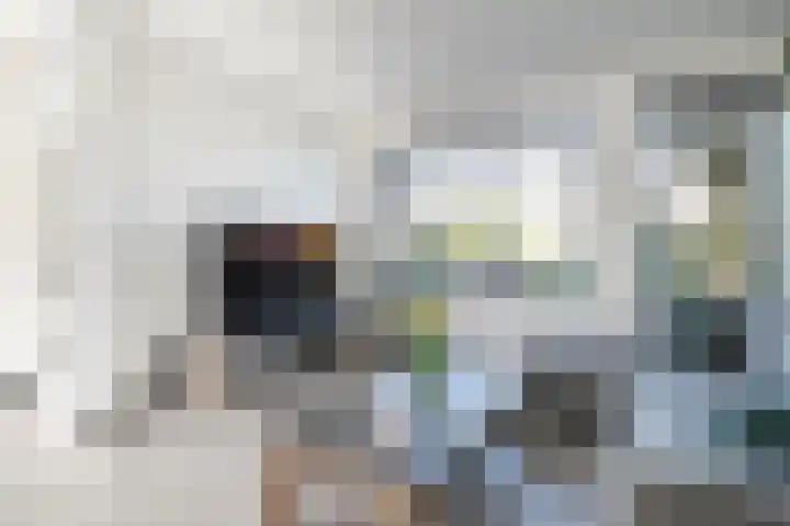 Kleine Beer 21 Hoogeveen thumbnail 12