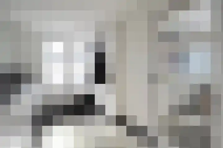 Kleine Beer 21 Hoogeveen thumbnail 19