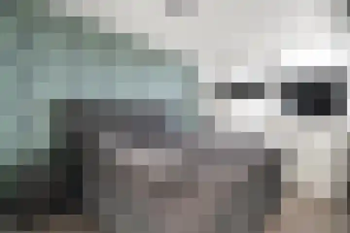 Kleine Beer 21 Hoogeveen thumbnail 24