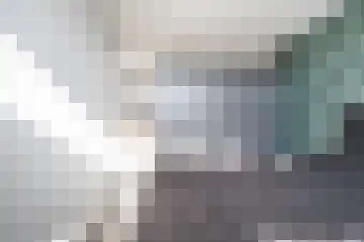 Kleine Beer 21 Hoogeveen thumbnail 25