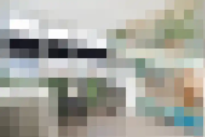 Kleine Beer 21 Hoogeveen thumbnail 26