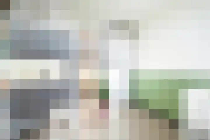 Kleine Beer 21 Hoogeveen thumbnail 27