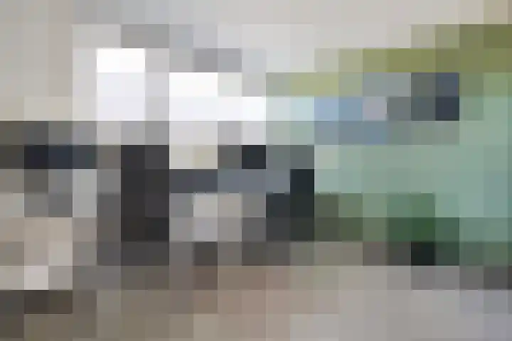 Kleine Beer 21 Hoogeveen thumbnail 28
