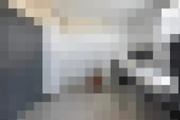 Kleine Beer 21 Hoogeveen thumbnail 29