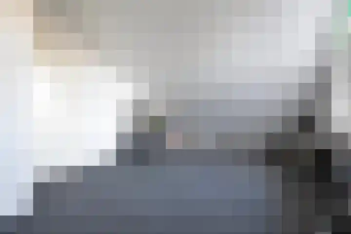 Kleine Beer 21 Hoogeveen thumbnail 33