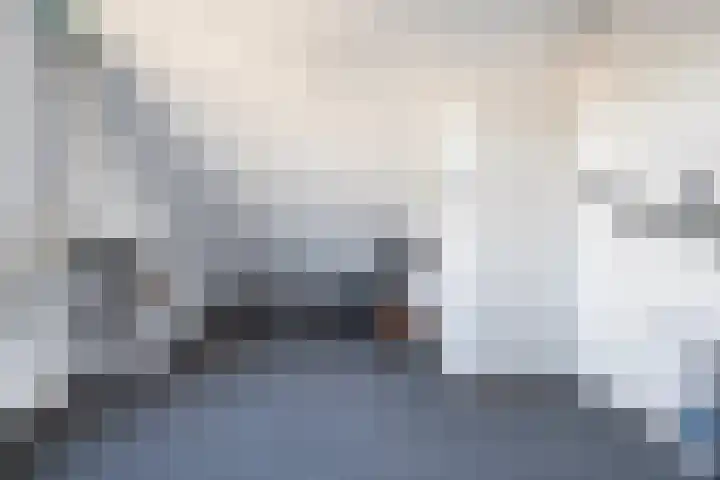 Kleine Beer 21 Hoogeveen thumbnail 34