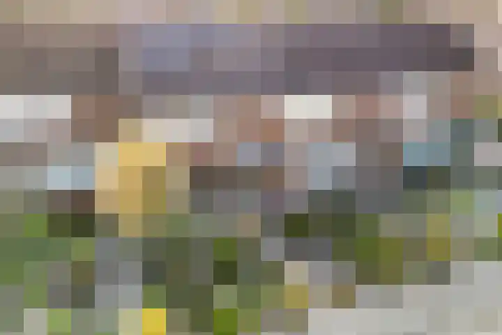 Kleine Beer 21 Hoogeveen thumbnail 36