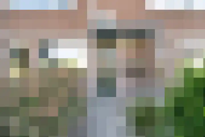 Kleine Beer 21 Hoogeveen thumbnail 37