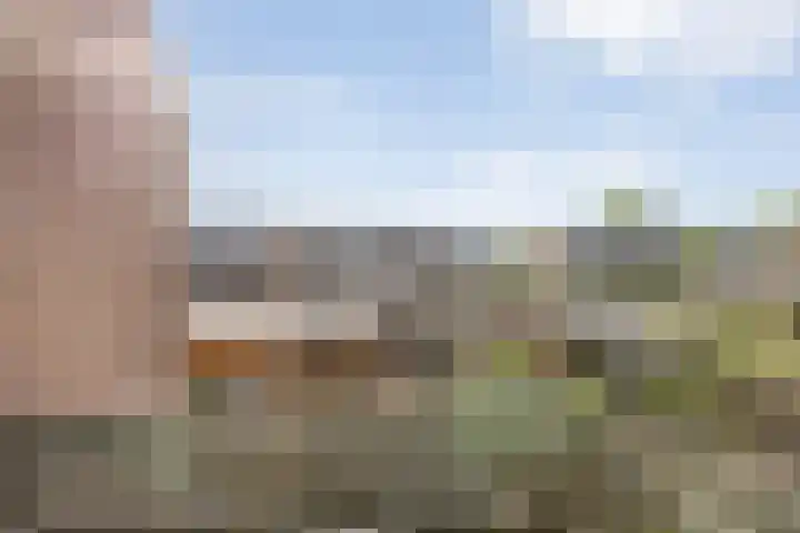 Kleine Beer 21 Hoogeveen thumbnail 38