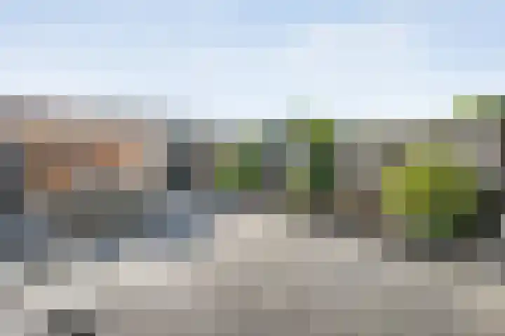 Kleine Beer 21 Hoogeveen thumbnail 39