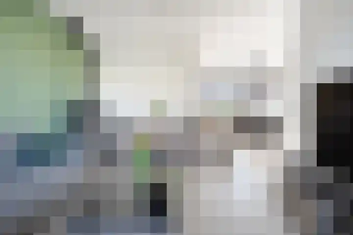 Kleine Beer 21 Hoogeveen thumbnail 4