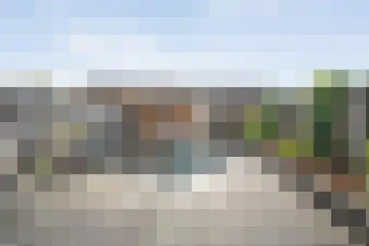Kleine Beer 21 Hoogeveen thumbnail 40