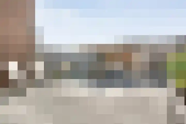 Kleine Beer 21 Hoogeveen thumbnail 41