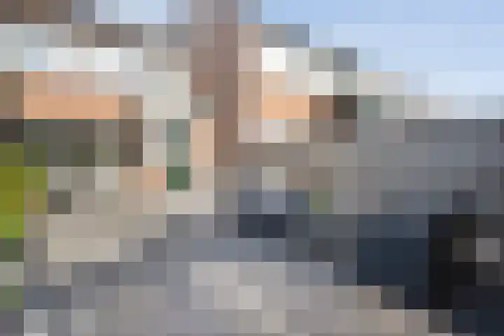 Kleine Beer 21 Hoogeveen thumbnail 42