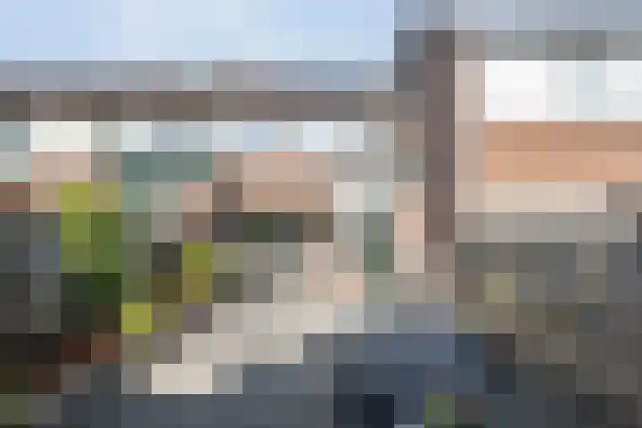 Kleine Beer 21 Hoogeveen thumbnail 43