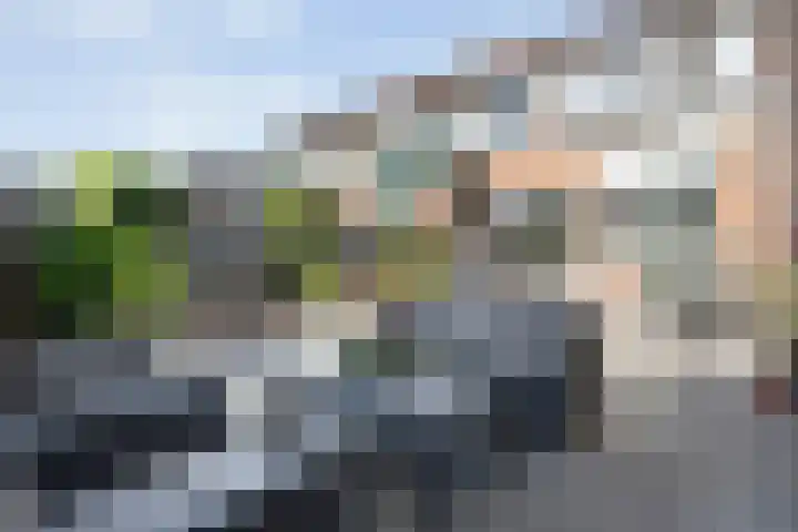 Kleine Beer 21 Hoogeveen thumbnail 44