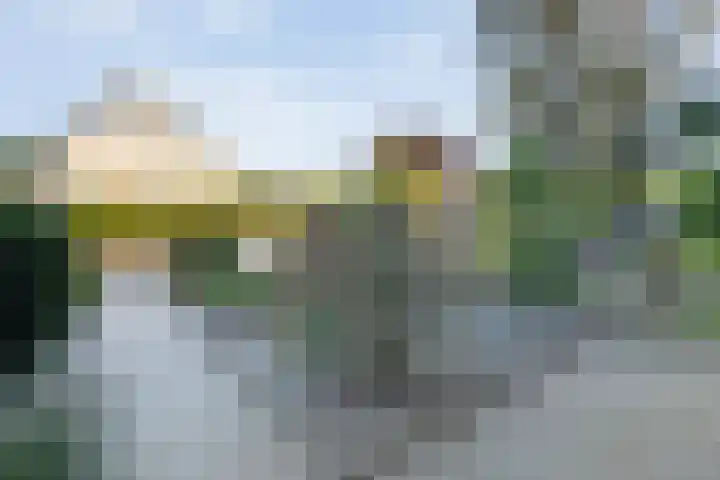 Kleine Beer 21 Hoogeveen thumbnail 45