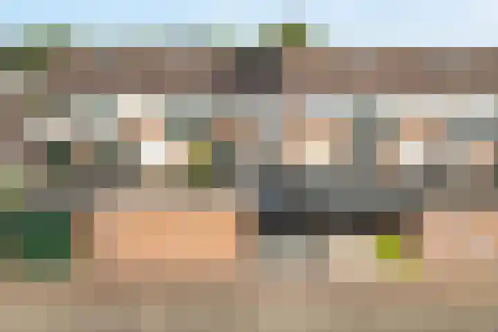 Kleine Beer 21 Hoogeveen thumbnail 47