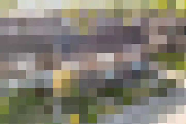 Kleine Beer 21 Hoogeveen thumbnail 49